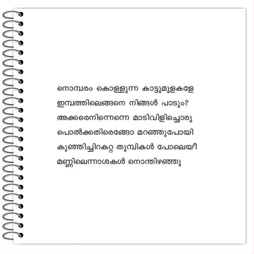 Picture of the product