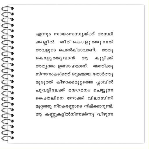 Picture of the product