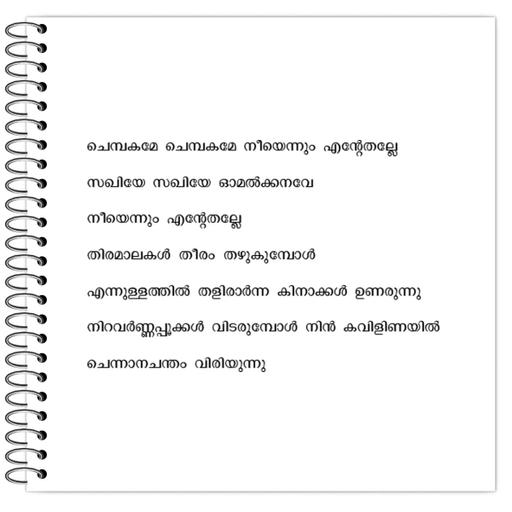 Picture of the product