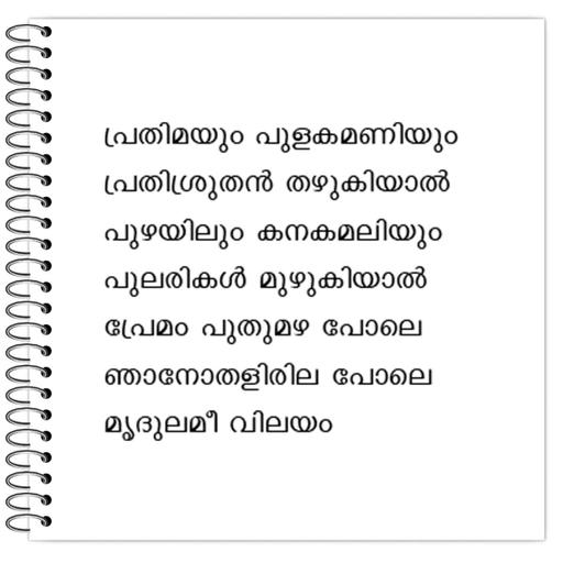 Picture of the product