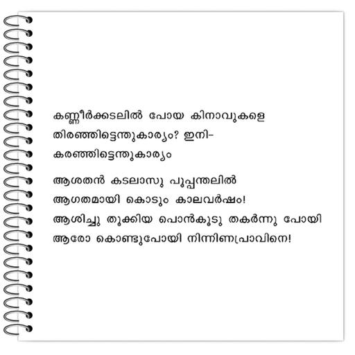 Picture of the product