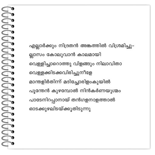 Picture of the product