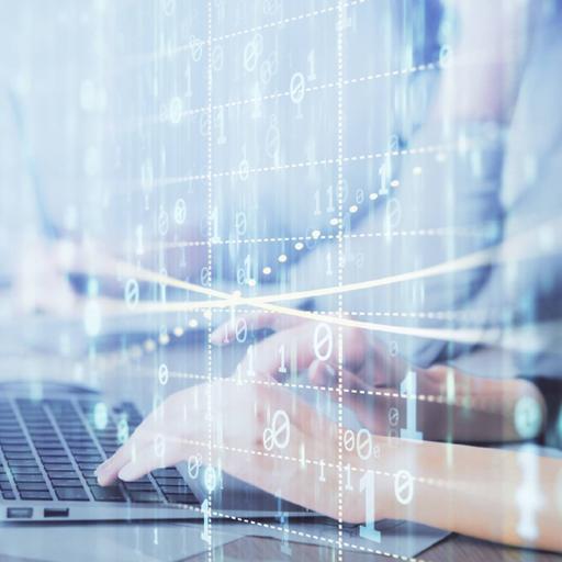 Picture of the product