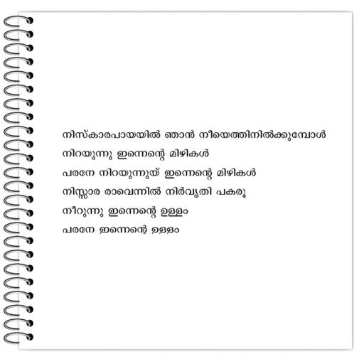 Picture of the product