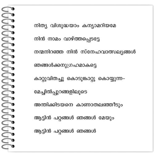 Picture of the product