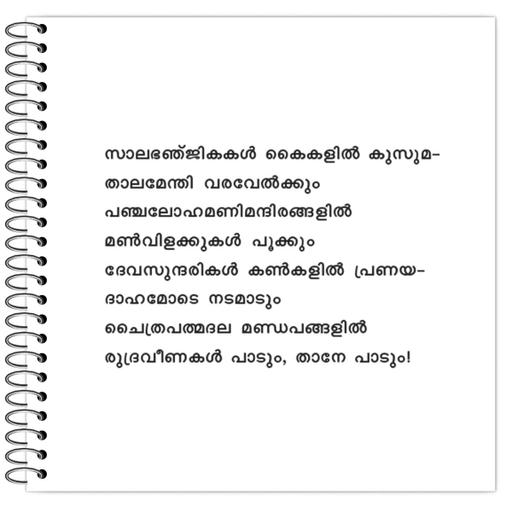 Picture of the product