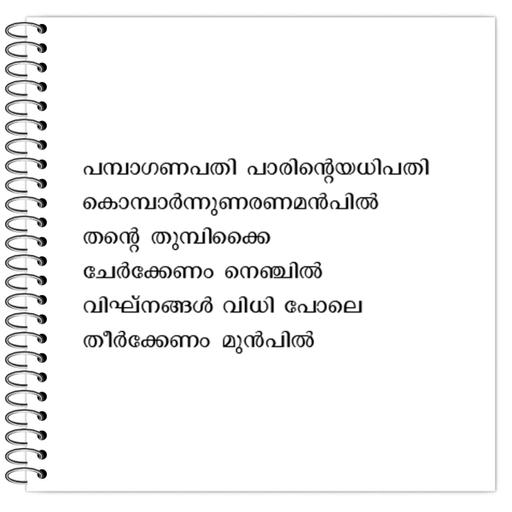 Picture of the product