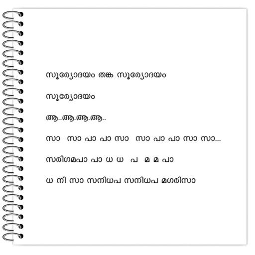 Picture of the product