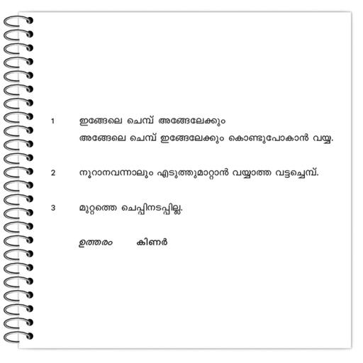 Picture of the product