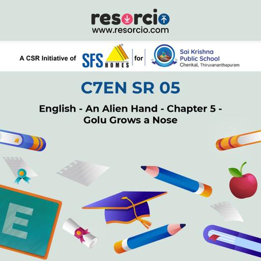 Picture of the product