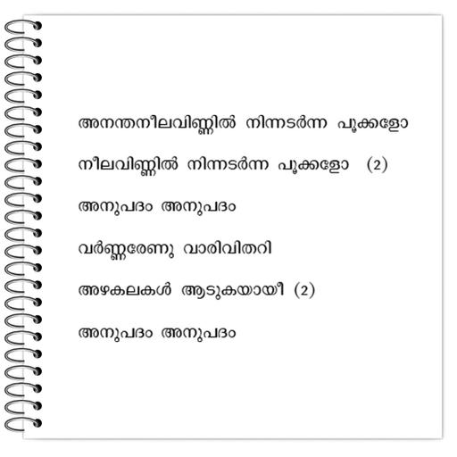 Picture of the product