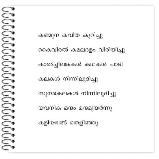 Picture of the product