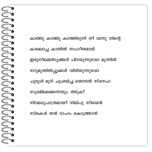 Picture of the product