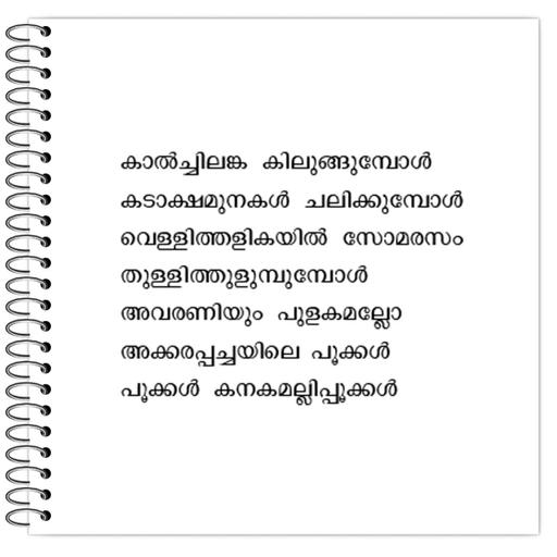 Picture of the product