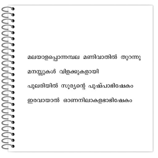 Picture of the product