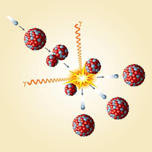 Picture of the product