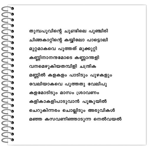 Picture of the product