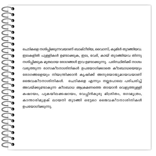 Picture of the product