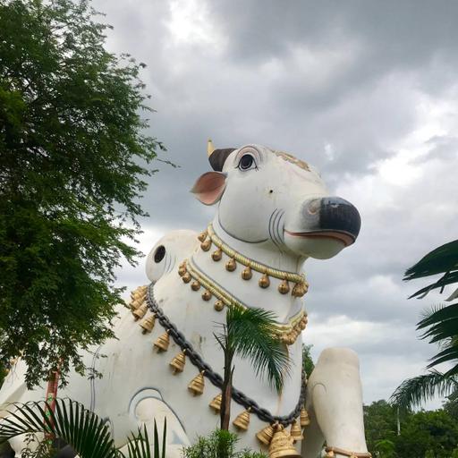 Picture of the product