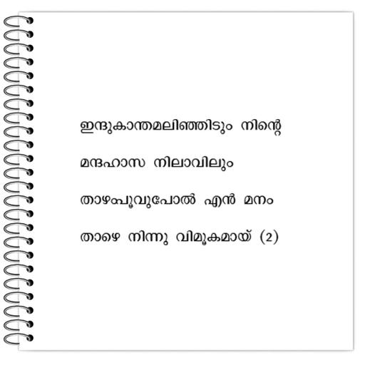 Picture of the product