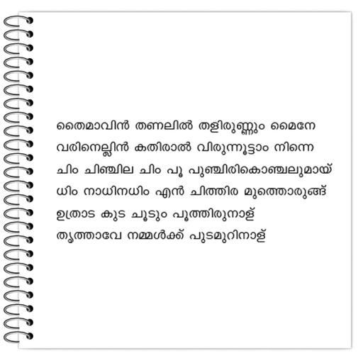 Picture of the product