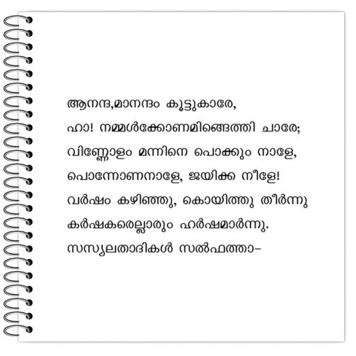 Picture of the product