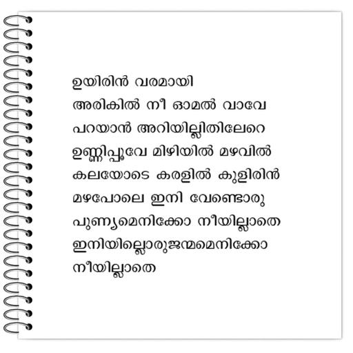 Picture of the product