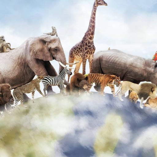 Picture of the product