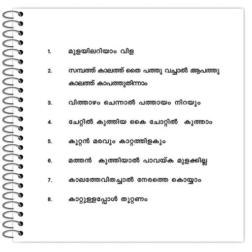 Picture of the product