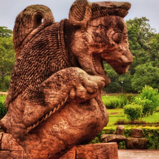 Picture of the product