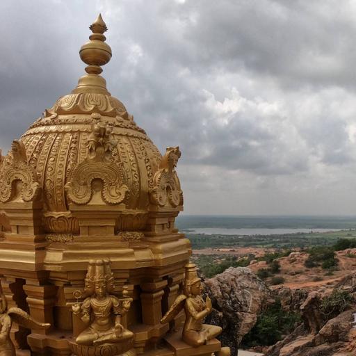 Picture of the product