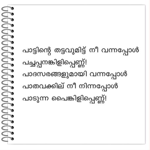 Picture of the product