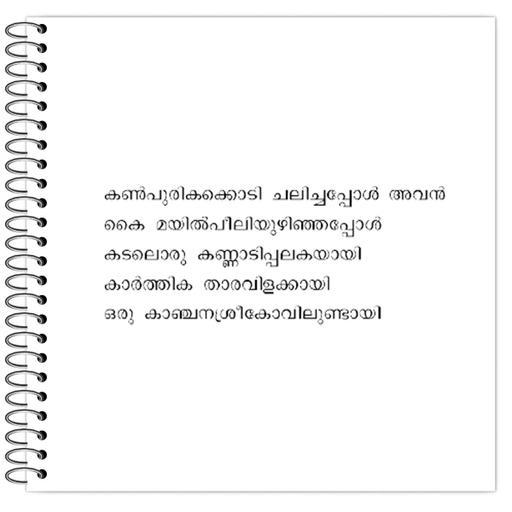 Picture of the product