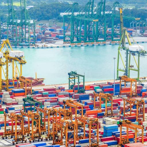 Picture of the product