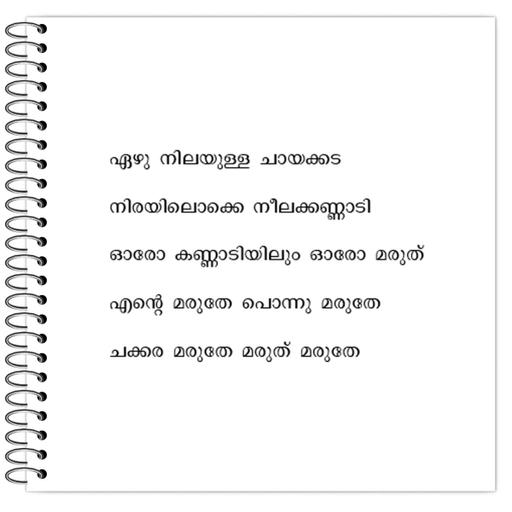 Picture of the product