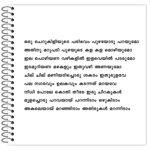 Picture of the product