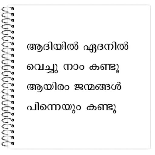 Picture of the product