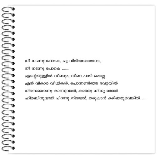 Picture of the product