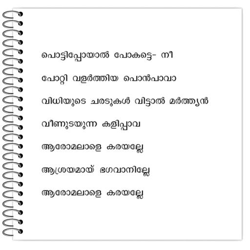 Picture of the product