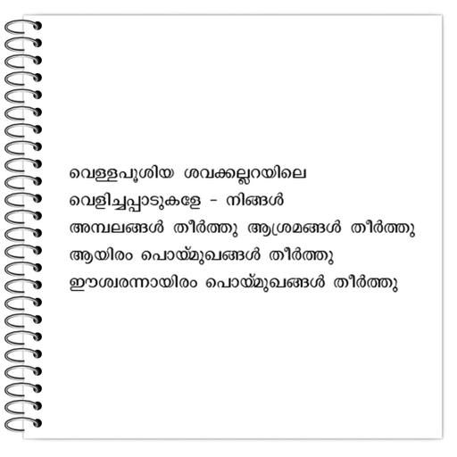 Picture of the product