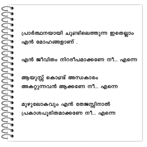 Picture of the product