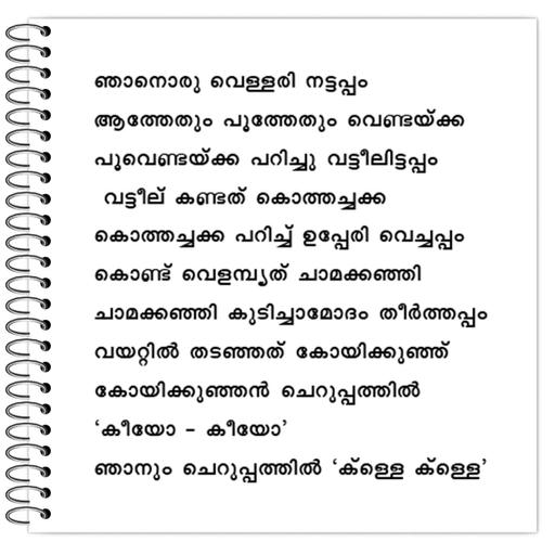 Picture of the product