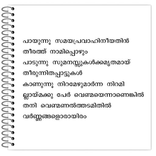 Picture of the product