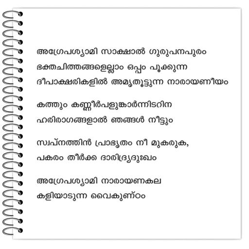 Picture of the product