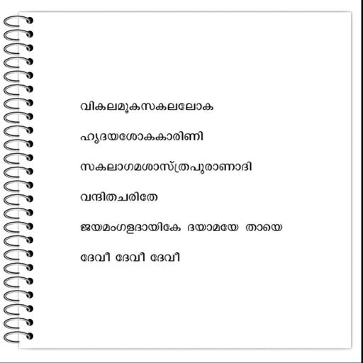 Picture of the product