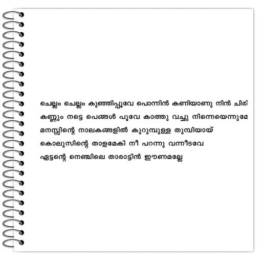 Picture of the product