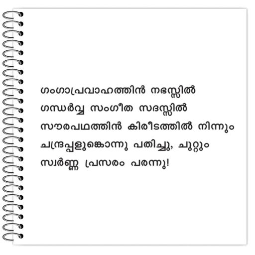 Picture of the product