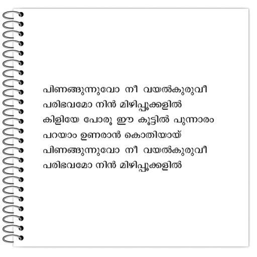 Picture of the product