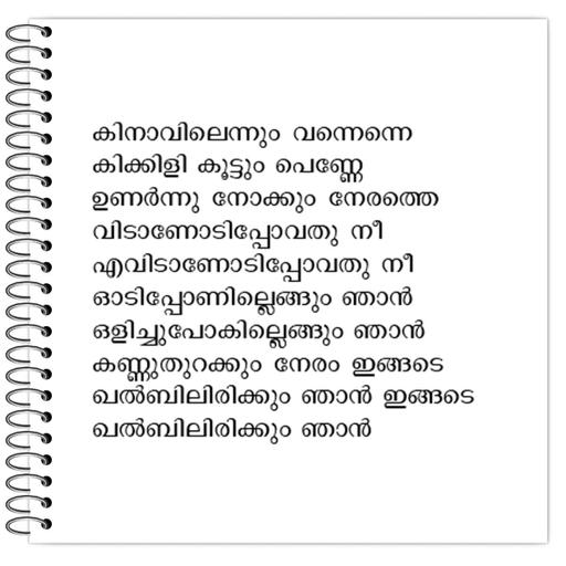 Picture of the product