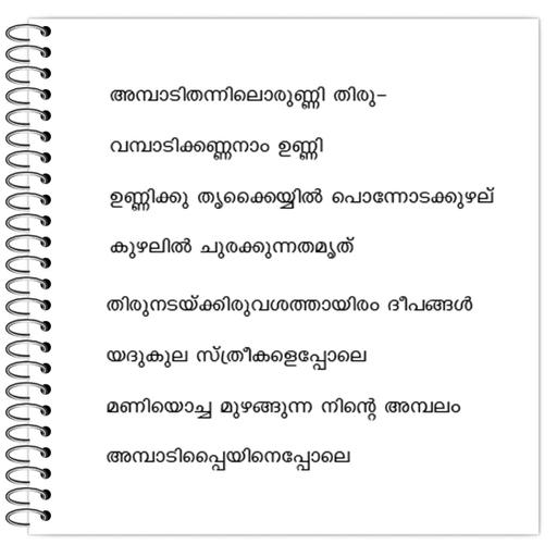 Picture of the product